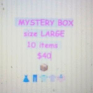 LADIES MYSTERY BOX 10 ITEMS SIZE LARGE EUC AND NWT